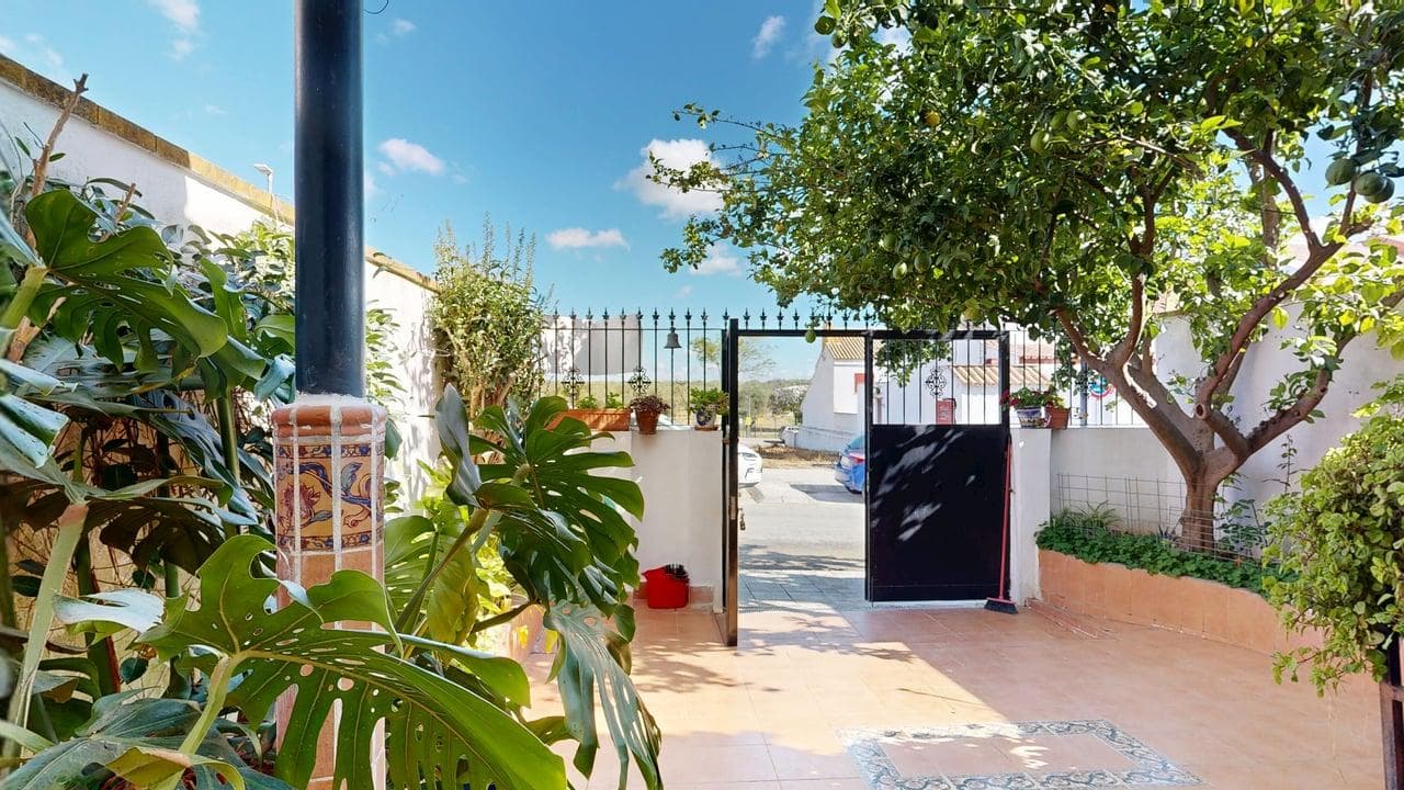 Imagen 5